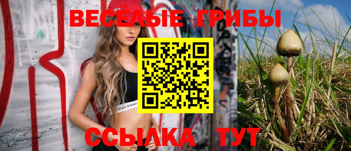 Галлюциногенные грибы MAGIC MUSHROOMS Волхов
